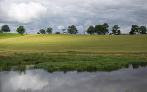 Scottish farmland